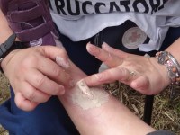Simulazione 2012